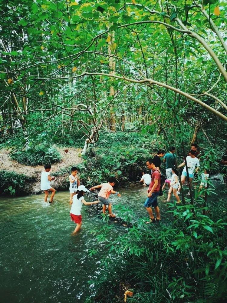 成都1h刹拢小众玩水地!捕鱼捉虾、水杉栈道、森林稻田…不要门票耍一天! 成都1h刹拢小众玩水地!捕鱼捉虾、水杉栈道、森林稻田…不要门票耍一天!