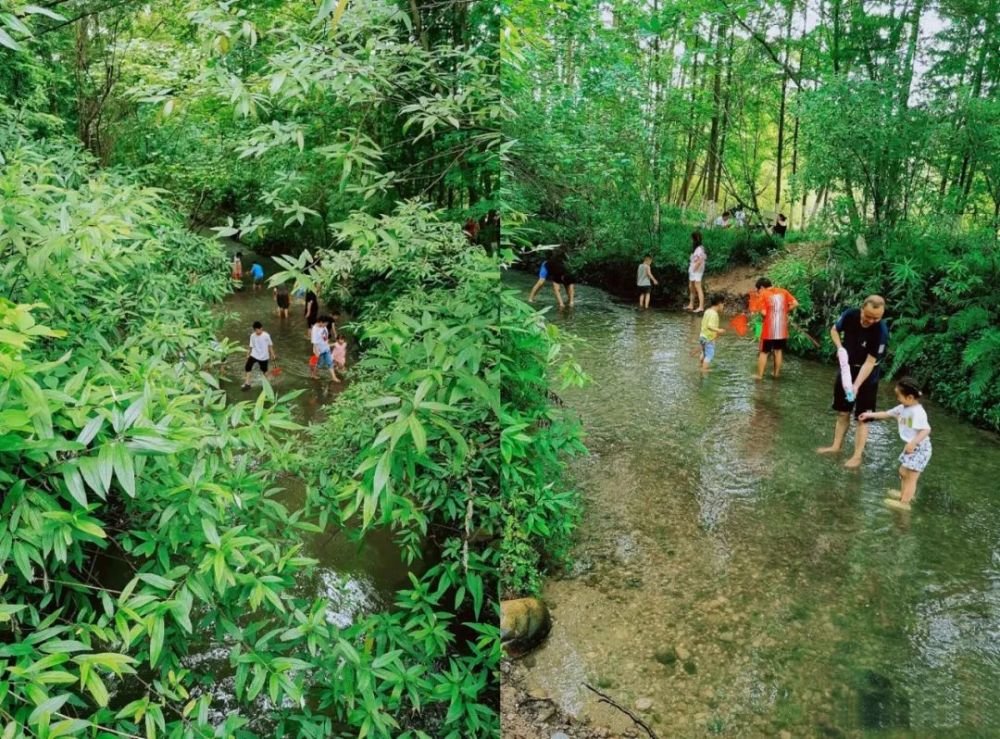 成都1h刹拢小众玩水地!捕鱼捉虾、水杉栈道、森林稻田…不要门票耍一天! 成都1h刹拢小众玩水地!捕鱼捉虾、水杉栈道、森林稻田…不要门票耍一天!