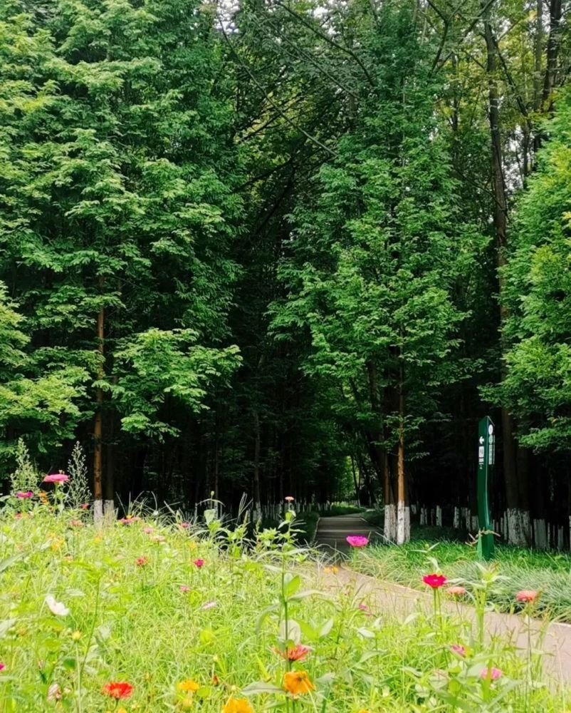 成都1h刹拢小众玩水地!捕鱼捉虾、水杉栈道、森林稻田…不要门票耍一天! 成都1h刹拢小众玩水地!捕鱼捉虾、水杉栈道、森林稻田…不要门票耍一天!