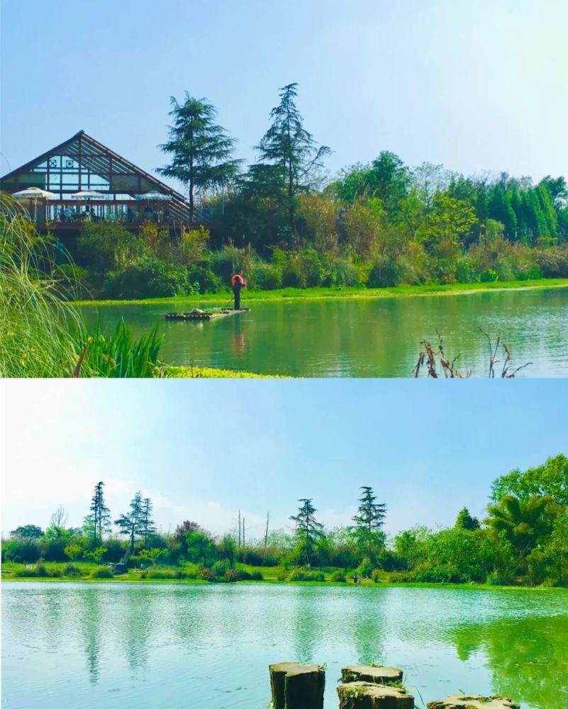 成都1h刹拢小众玩水地!捕鱼捉虾、水杉栈道、森林稻田…不要门票耍一天! 成都1h刹拢小众玩水地!捕鱼捉虾、水杉栈道、森林稻田…不要门票耍一天!