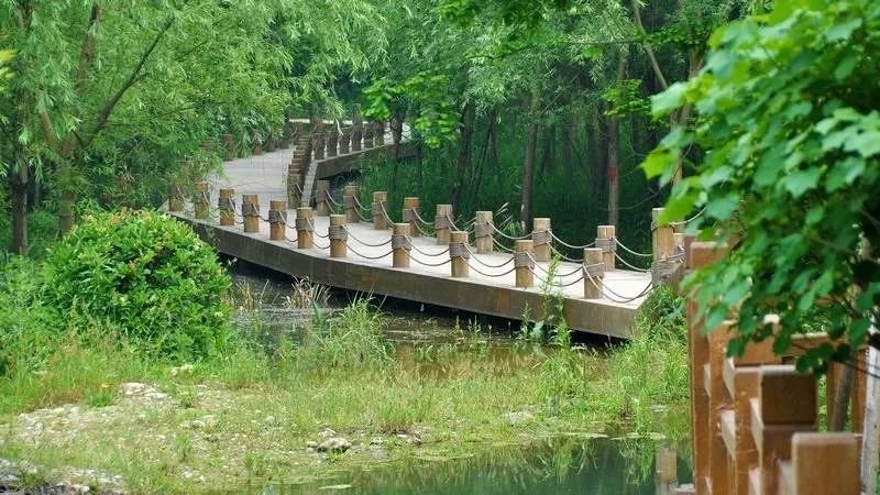 成都1h刹拢小众玩水地!捕鱼捉虾、水杉栈道、森林稻田…不要门票耍一天! 成都1h刹拢小众玩水地!捕鱼捉虾、水杉栈道、森林稻田…不要门票耍一天!