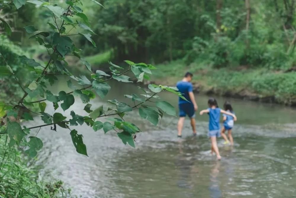 成都1h刹拢小众玩水地!捕鱼捉虾、水杉栈道、森林稻田…不要门票耍一天! 成都1h刹拢小众玩水地!捕鱼捉虾、水杉栈道、森林稻田…不要门票耍一天!