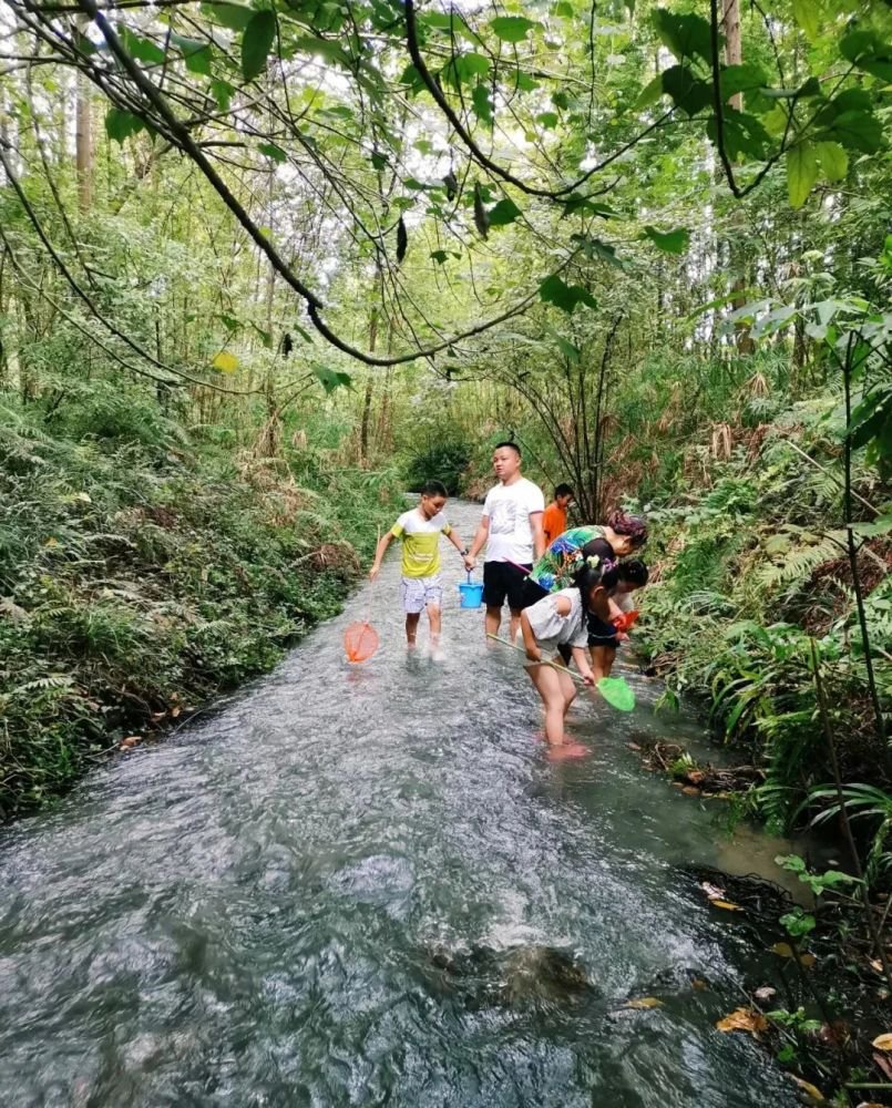 成都1h刹拢小众玩水地!捕鱼捉虾、水杉栈道、森林稻田…不要门票耍一天! 成都1h刹拢小众玩水地!捕鱼捉虾、水杉栈道、森林稻田…不要门票耍一天!
