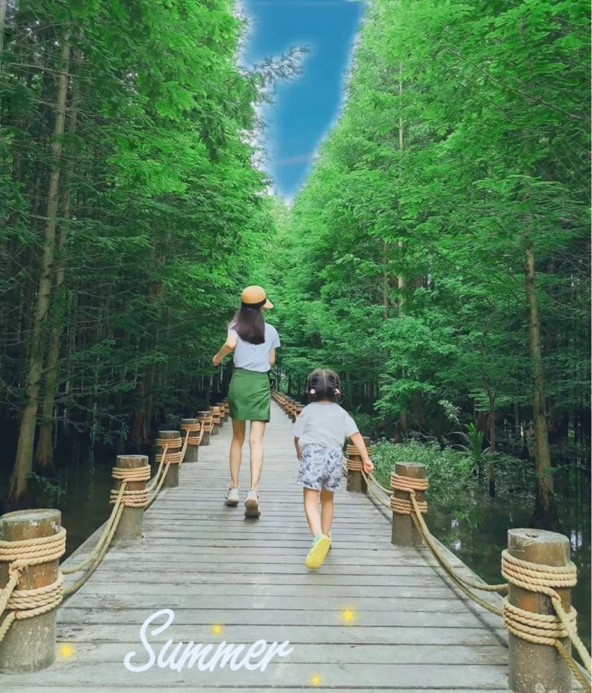 成都1h刹拢小众玩水地!捕鱼捉虾、水杉栈道、森林稻田…不要门票耍一天! 成都1h刹拢小众玩水地!捕鱼捉虾、水杉栈道、森林稻田…不要门票耍一天!