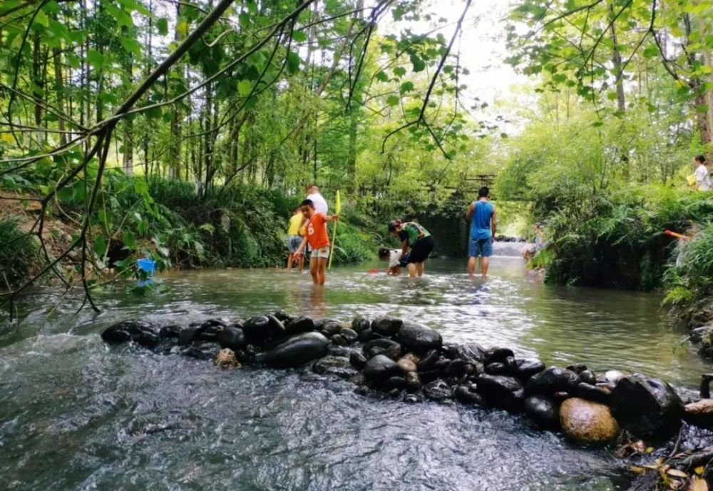 成都1h刹拢小众玩水地!捕鱼捉虾、水杉栈道、森林稻田…不要门票耍一天! 成都1h刹拢小众玩水地!捕鱼捉虾、水杉栈道、森林稻田…不要门票耍一天!