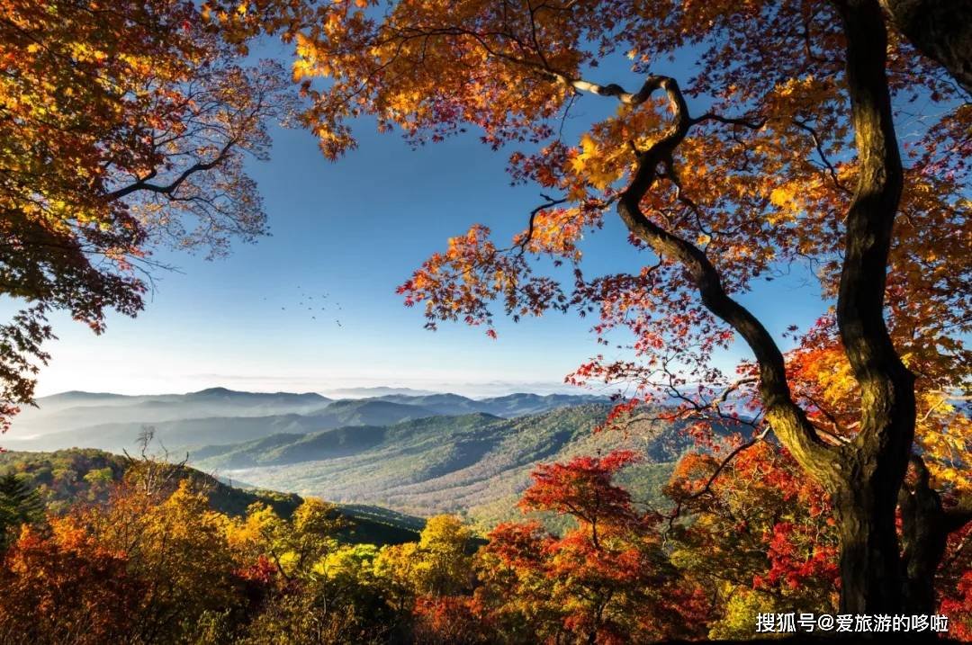 全国最好吃的赏枫胜地，看看有没有你家乡的！