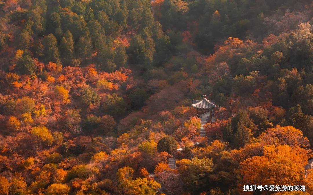 全国最好吃的赏枫胜地，看看有没有你家乡的！