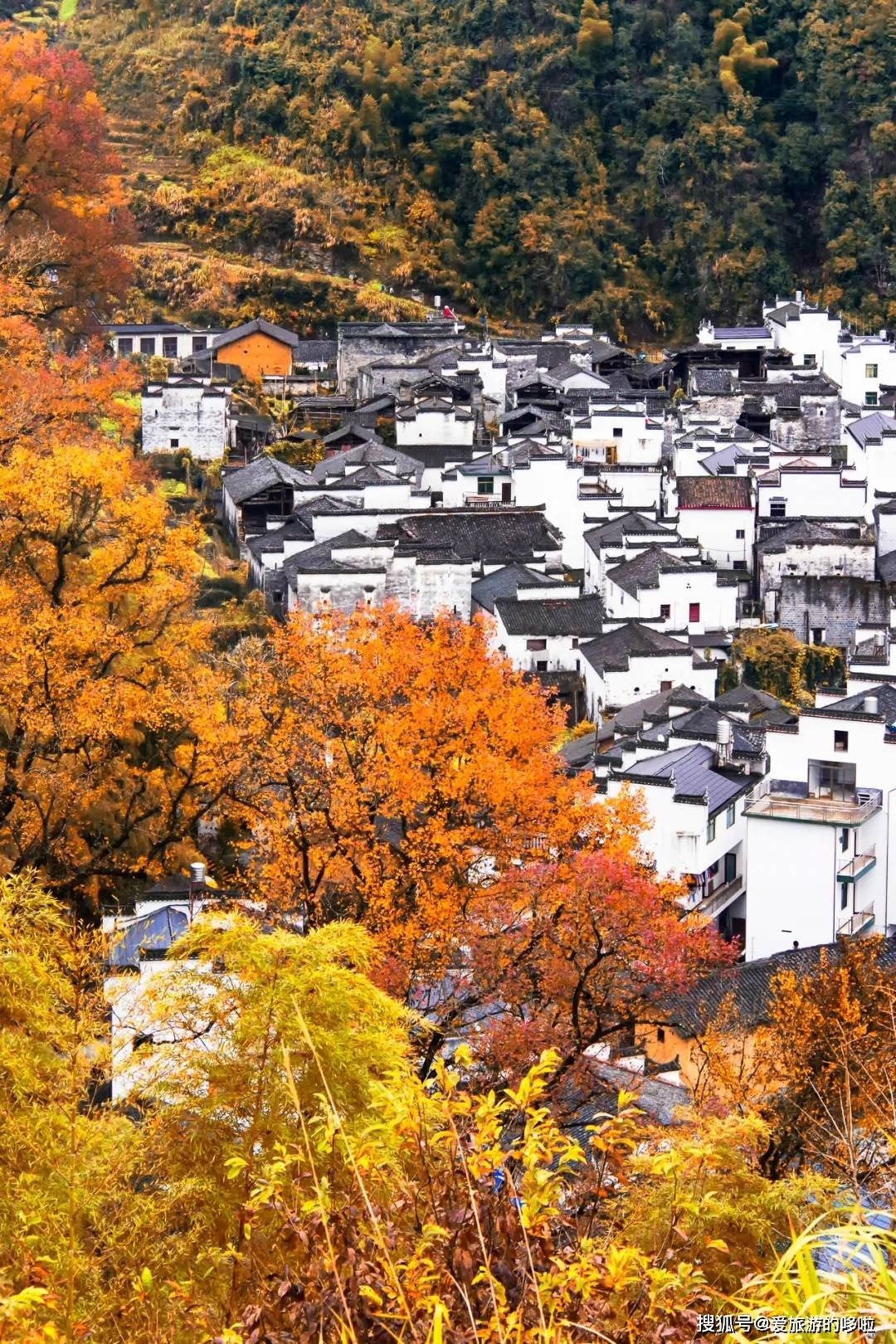 全国最好吃的赏枫胜地，看看有没有你家乡的！