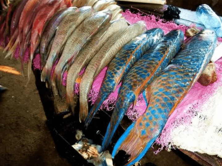 原创非洲真有这么穷？游客看到非洲人的菜市场惊了：或许我才是穷光蛋