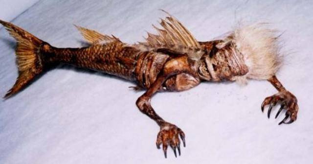 原创“与之淫，不言语，惟笑”的美人鱼，全世界都传说，真相就在日本