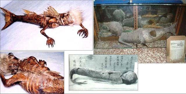 原创“与之淫，不言语，惟笑”的美人鱼，全世界都传说，真相就在日本