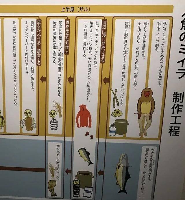 原创“与之淫，不言语，惟笑”的美人鱼，全世界都传说，真相就在日本