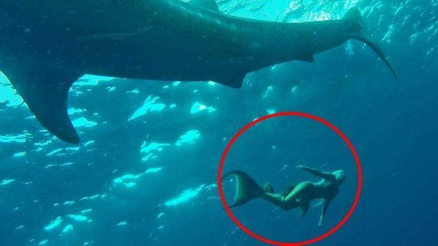 原创“与之淫，不言语，惟笑”的美人鱼，全世界都传说，真相就在日本