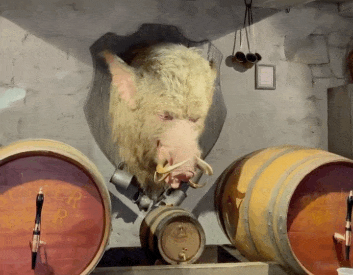 保姆级北京环球影城吃喝攻略