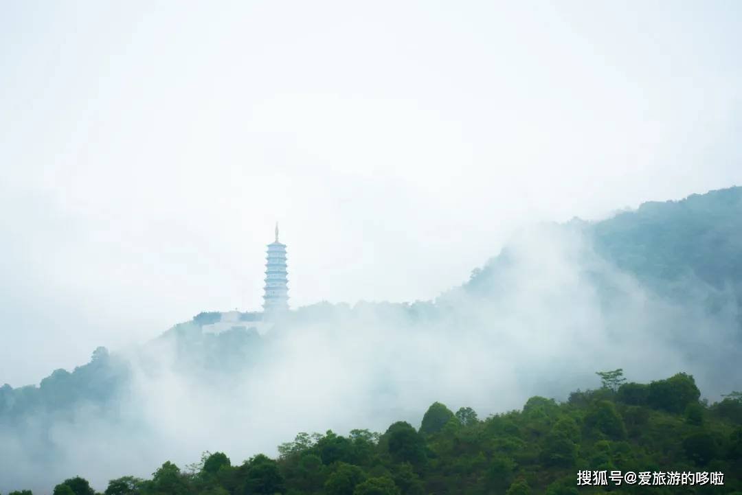 “完了,我吃不起沙县了”“到老家瞅瞅” “完了,我吃不起沙县了”“到老家瞅瞅”