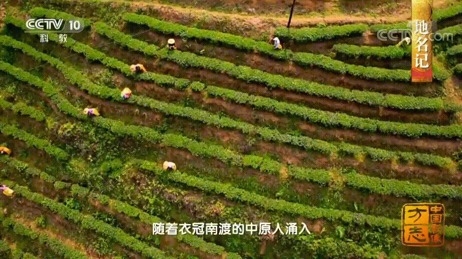 “完了,我吃不起沙县了”“到老家瞅瞅” “完了,我吃不起沙县了”“到老家瞅瞅”