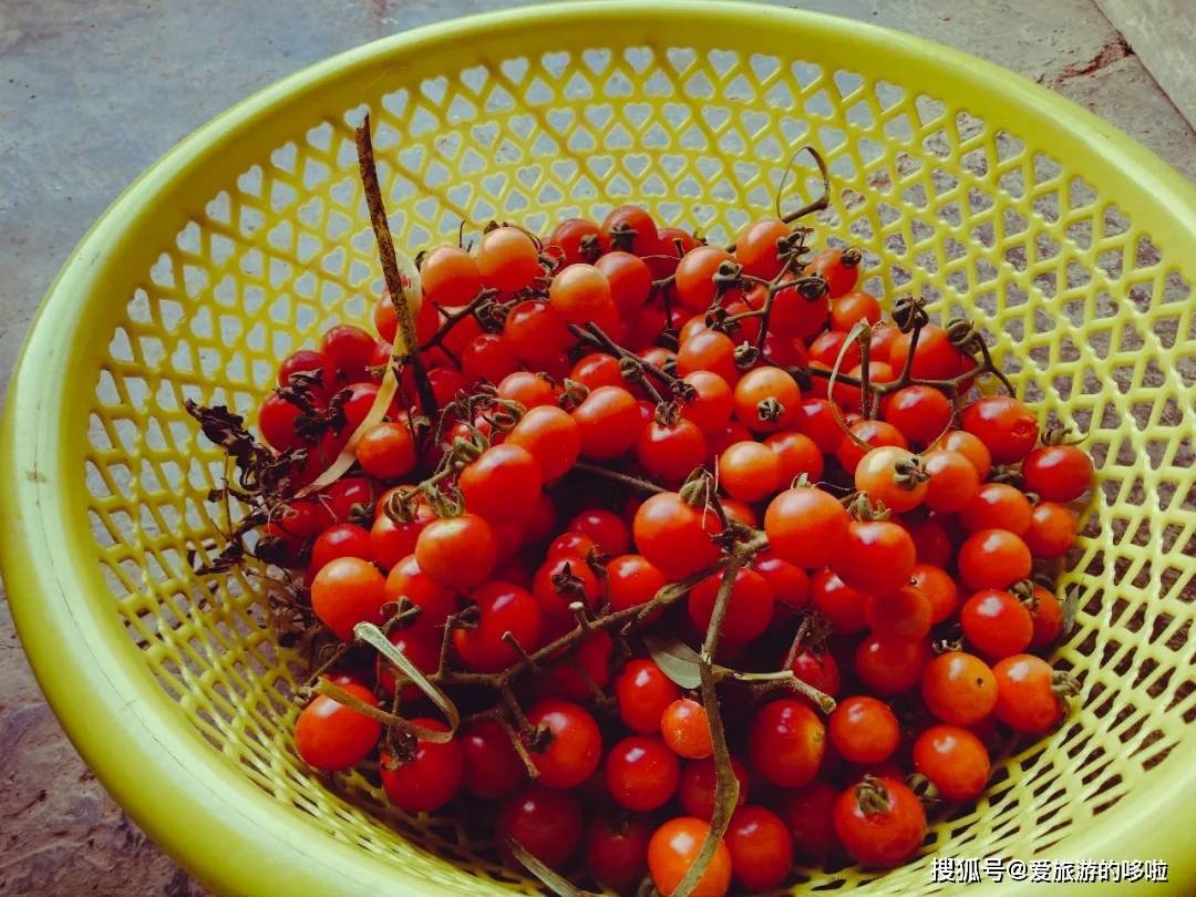 中国唯一上榜省份，引世界瞩目！风景秀丽美食遍地，京沪都甘拜下风
