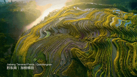 中国唯一上榜省份，引世界瞩目！风景秀丽美食遍地，京沪都甘拜下风