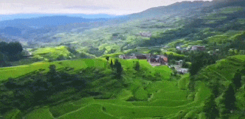 中国唯一上榜省份，引世界瞩目！风景秀丽美食遍地，京沪都甘拜下风