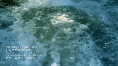 中国唯一上榜省份，引世界瞩目！风景秀丽美食遍地，京沪都甘拜下风