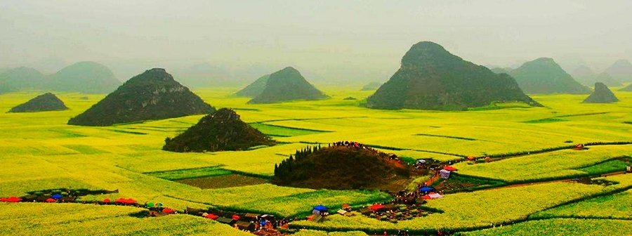 云南曲靖一个县，地处鸡鸣三省处，是观赏油菜花的胜地