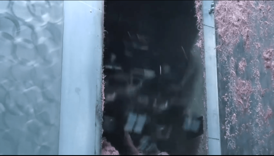 原创美国猪肉为何如此便宜，到底是如何养猪和杀猪的？才会如此便宜