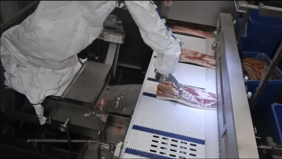 原创美国猪肉为何如此便宜，到底是如何养猪和杀猪的？才会如此便宜