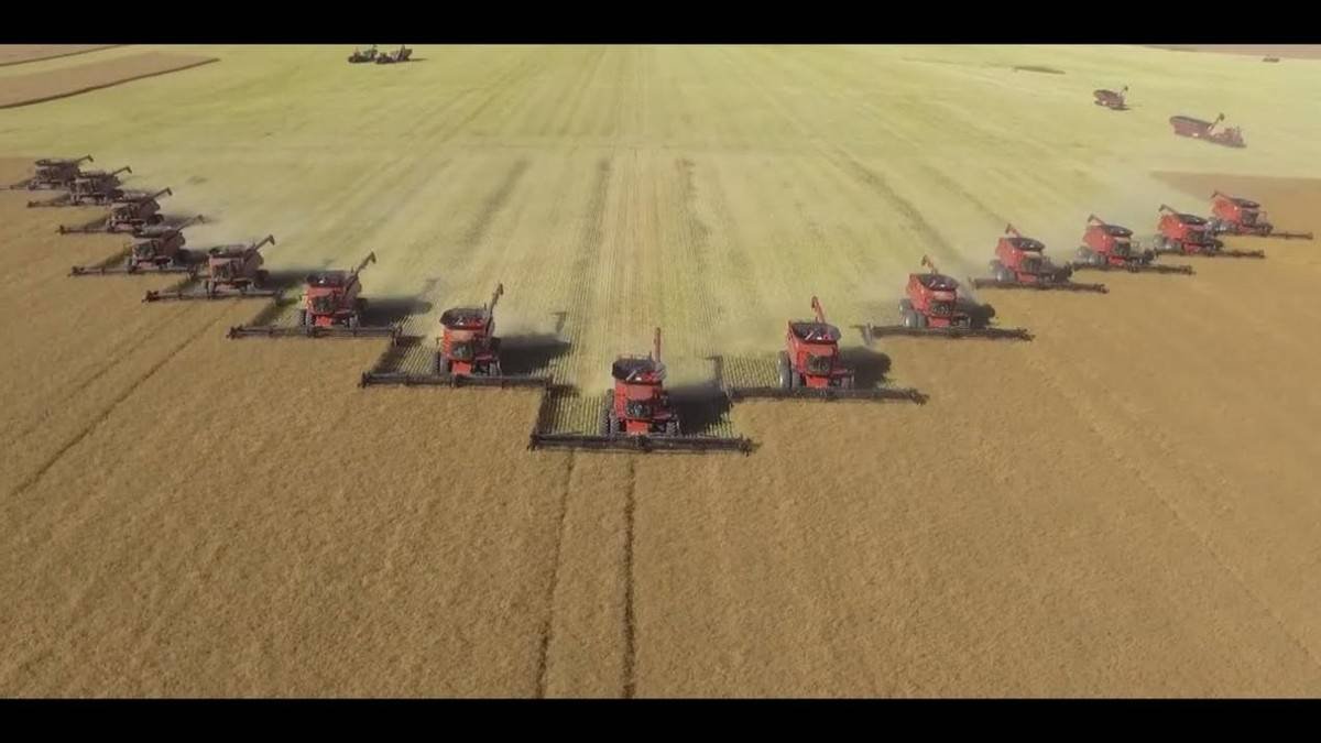 原创美国猪肉为何如此便宜，到底是如何养猪和杀猪的？才会如此便宜