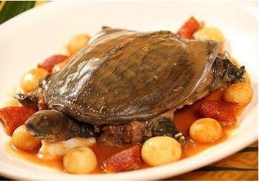 宁波美食攻略｜2021不可错过的宁波美食有哪些？