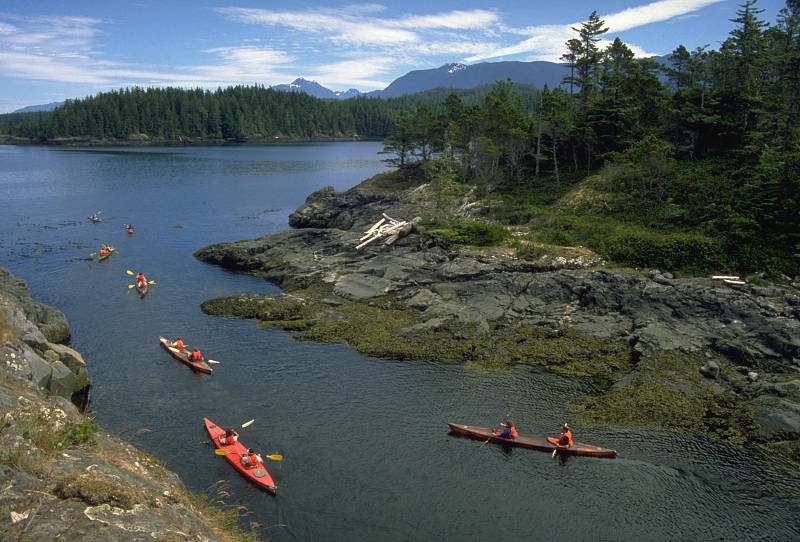 原创加拿大温哥华岛怎么玩才有趣，观鲸和看三文鱼洄游你会怎么选