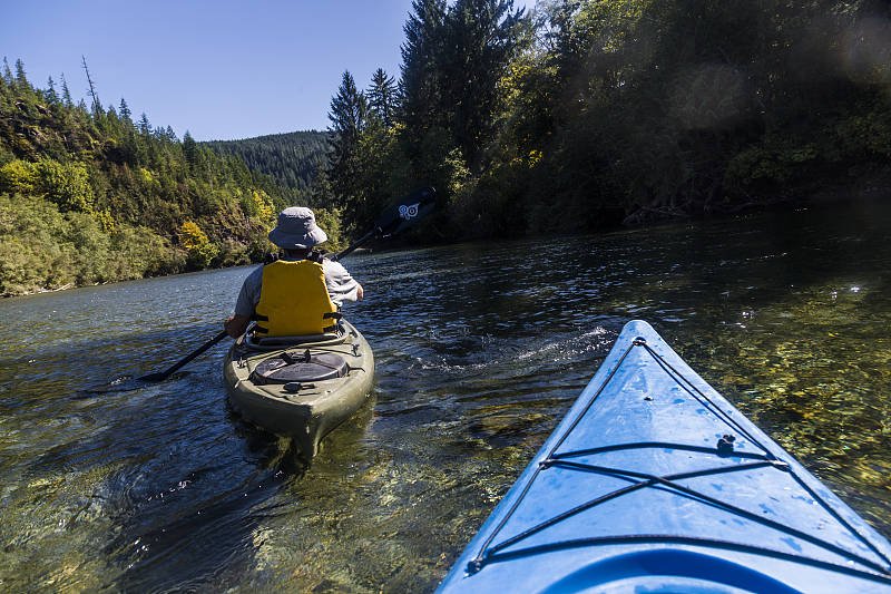 原创加拿大温哥华岛怎么玩才有趣，观鲸和看三文鱼洄游你会怎么选