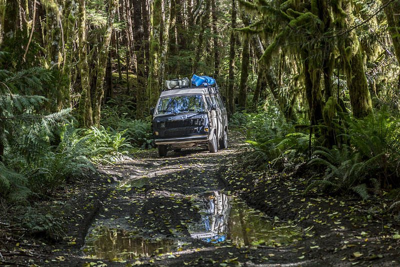 原创加拿大温哥华岛怎么玩才有趣，观鲸和看三文鱼洄游你会怎么选