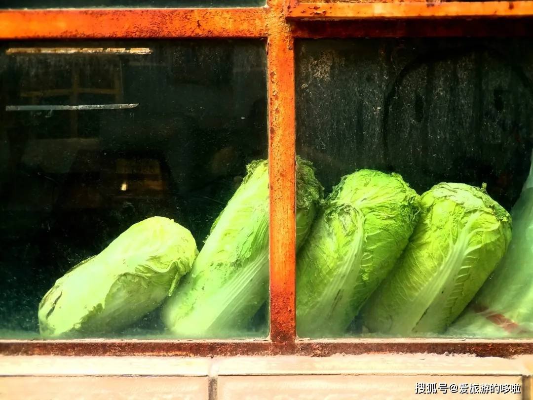 东北人囤菜的快乐，南方人不懂，哈哈哈哈哈