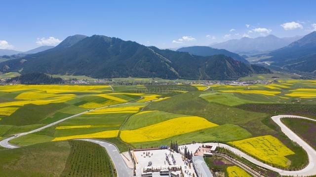 青海夏季最美的油菜花，丹霞地貌与油菜花海的完美结合