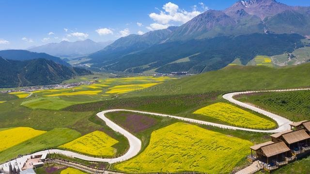 青海夏季最美的油菜花，丹霞地貌与油菜花海的完美结合