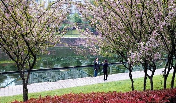 这里是重庆人打卡的地方，有山有水有美食，被称为网红城市后花园
