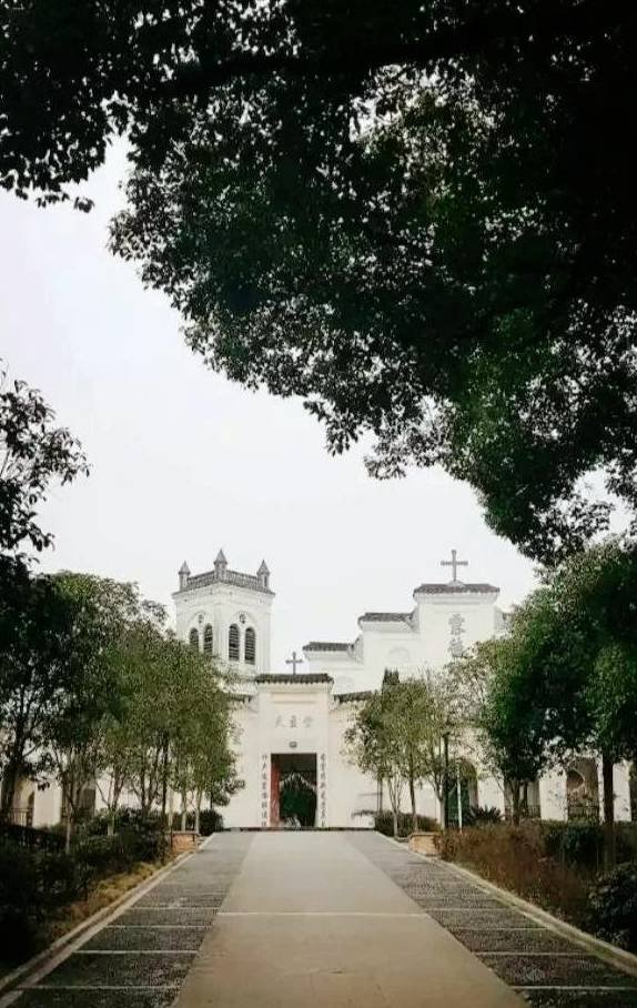 这里是重庆人打卡的地方，有山有水有美食，被称为网红城市后花园