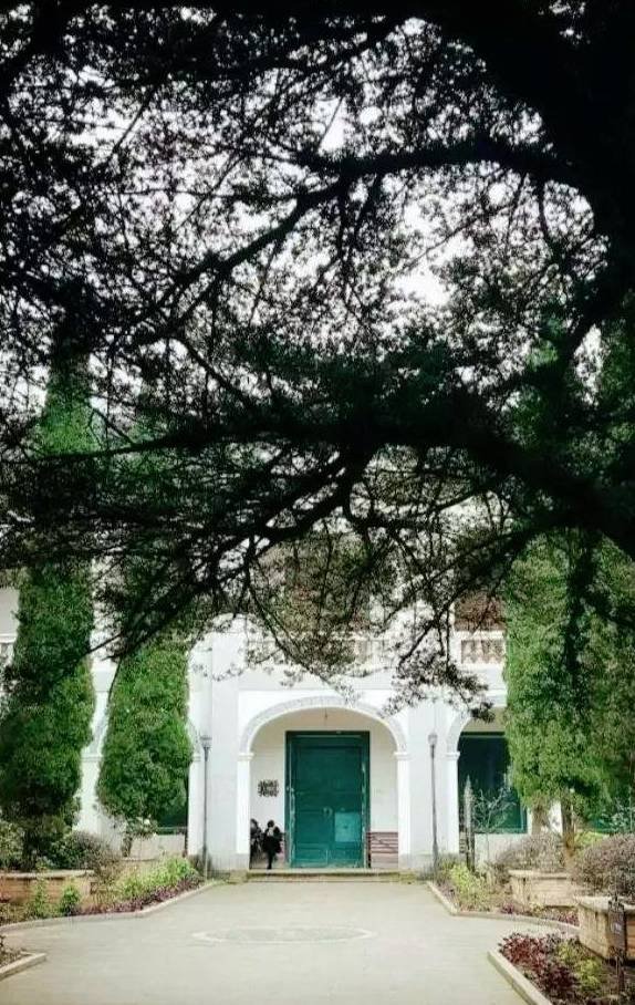 这里是重庆人打卡的地方，有山有水有美食，被称为网红城市后花园