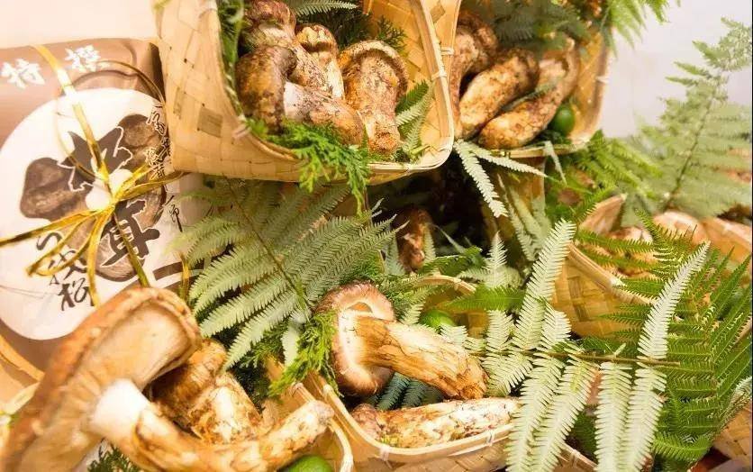 日本秋季限定美食，看看哪些是不容错过的！一起来看看吧