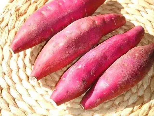 日本秋季限定美食，看看哪些是不容错过的！一起来看看吧