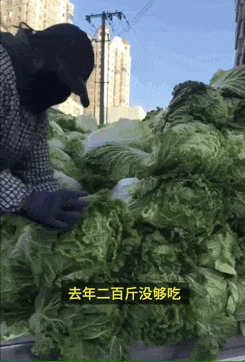 东北人囤菜的快乐，南方人不懂，哈哈哈哈哈