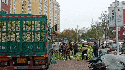 东北人囤菜的快乐，南方人不懂，哈哈哈哈哈