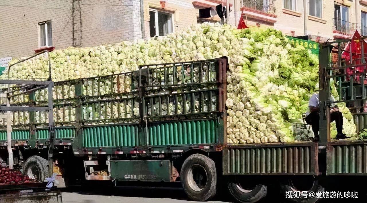 东北人囤菜的快乐，南方人不懂，哈哈哈哈哈