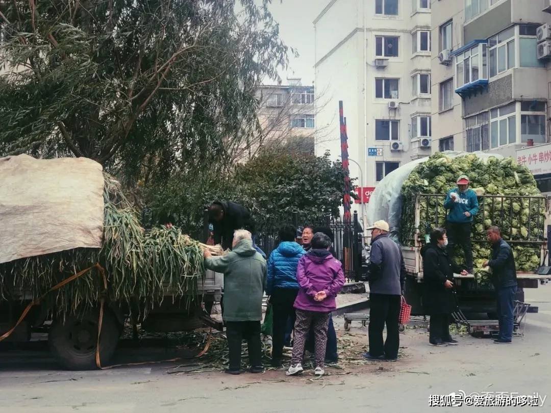 东北人囤菜的快乐，南方人不懂，哈哈哈哈哈