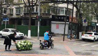 东北人囤菜的快乐，南方人不懂，哈哈哈哈哈