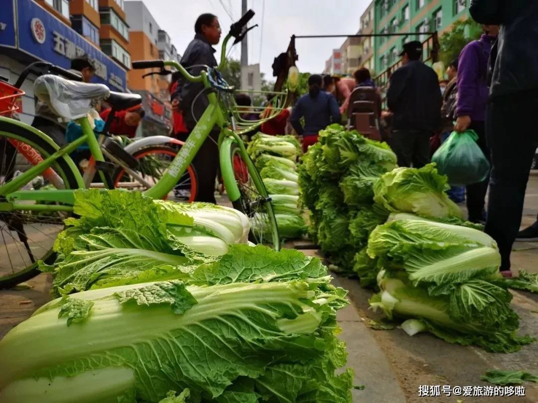 东北人囤菜的快乐，南方人不懂，哈哈哈哈哈