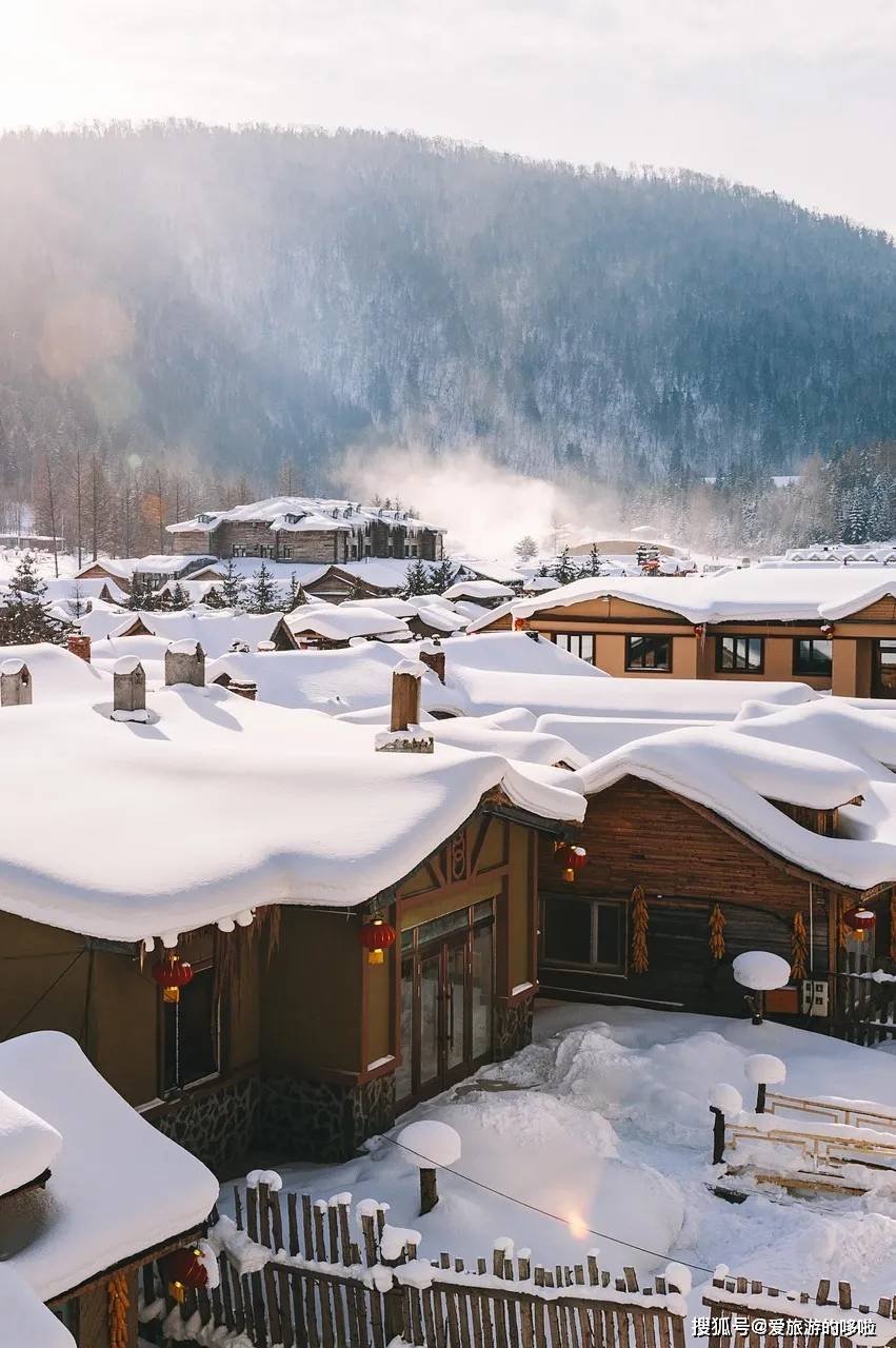 东北人囤菜的快乐，南方人不懂，哈哈哈哈哈