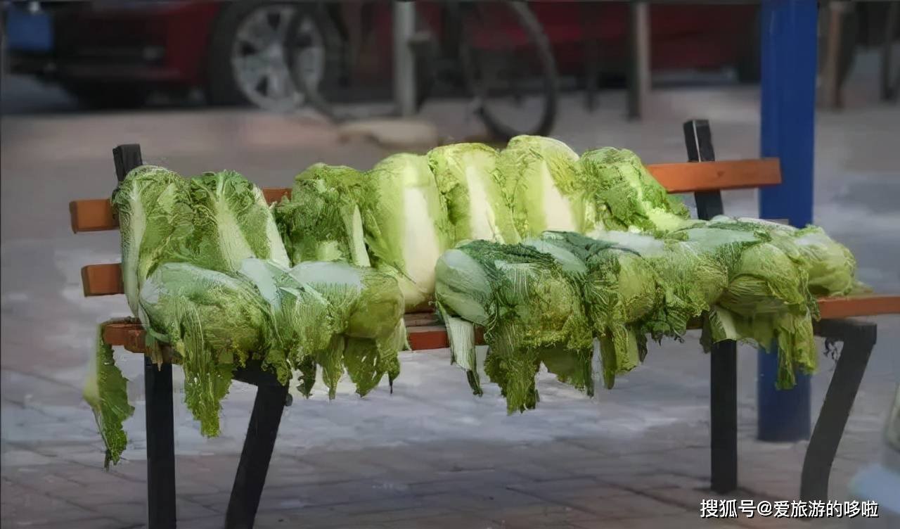 东北人囤菜的快乐，南方人不懂，哈哈哈哈哈