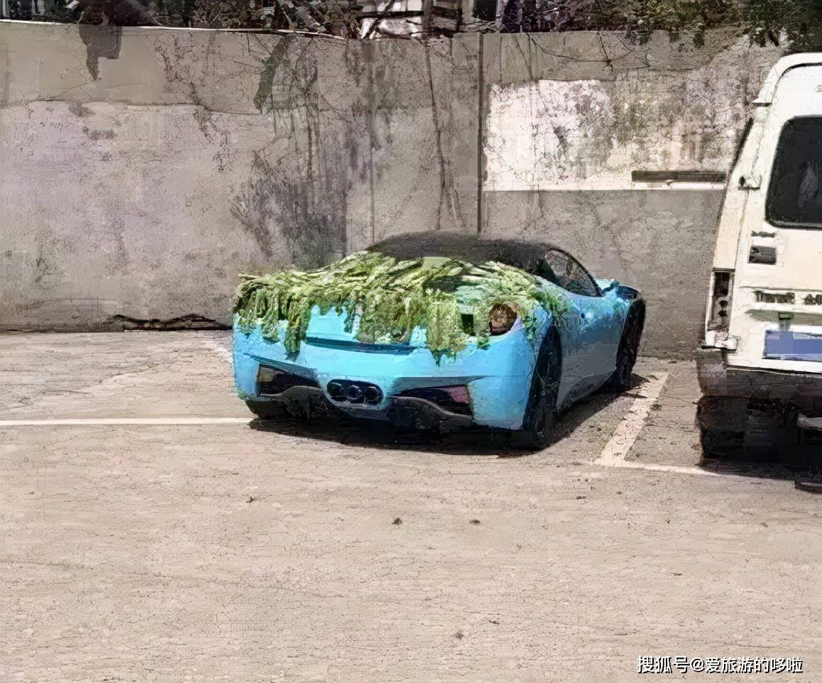 东北人囤菜的快乐，南方人不懂，哈哈哈哈哈