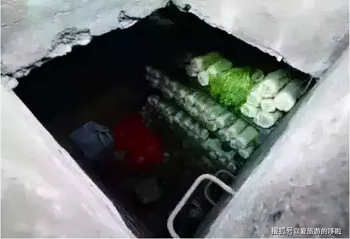 东北人囤菜的快乐，南方人不懂，哈哈哈哈哈